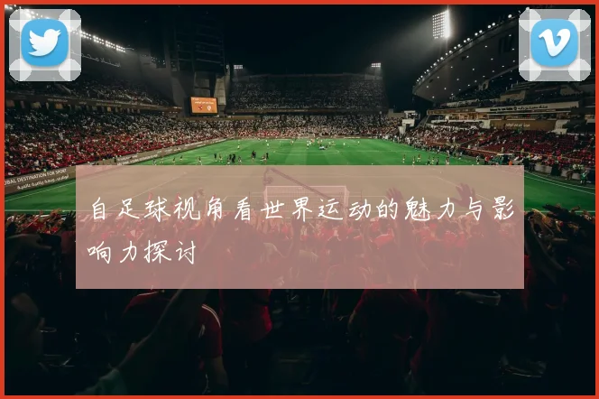 自足球视角看世界运动的魅力与影响力探讨