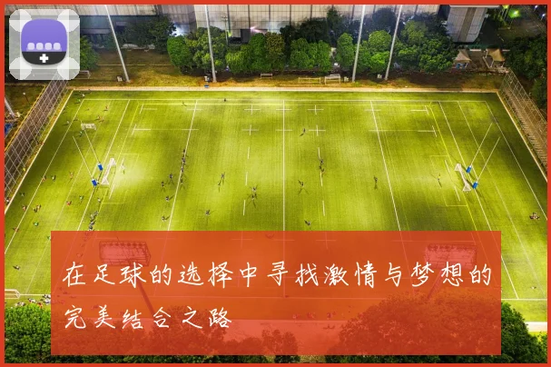 在足球的选择中寻找激情与梦想的完美结合之路