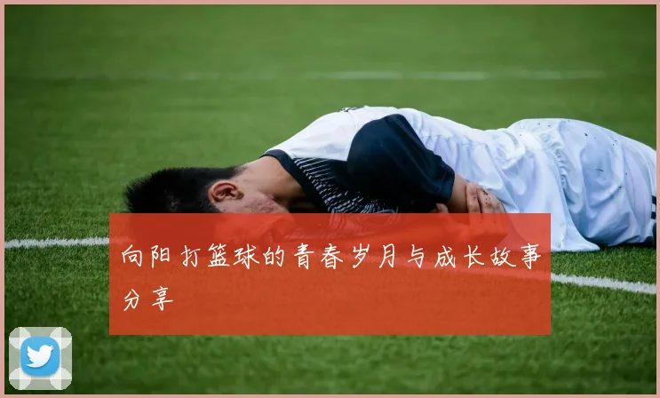 向阳打篮球的青春岁月与成长故事分享